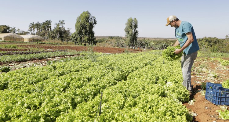 IPP sobe 2,37% em março, após queda em fevereiro