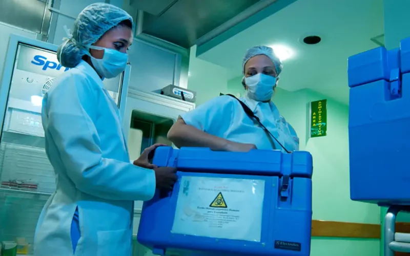 Brasil atinge recorde histórico de 31 mil transplantes em 2025