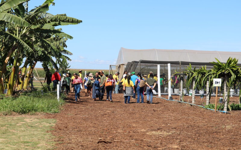 Emater-DF leva circuito de fruticultura à AgroBrasília 2026