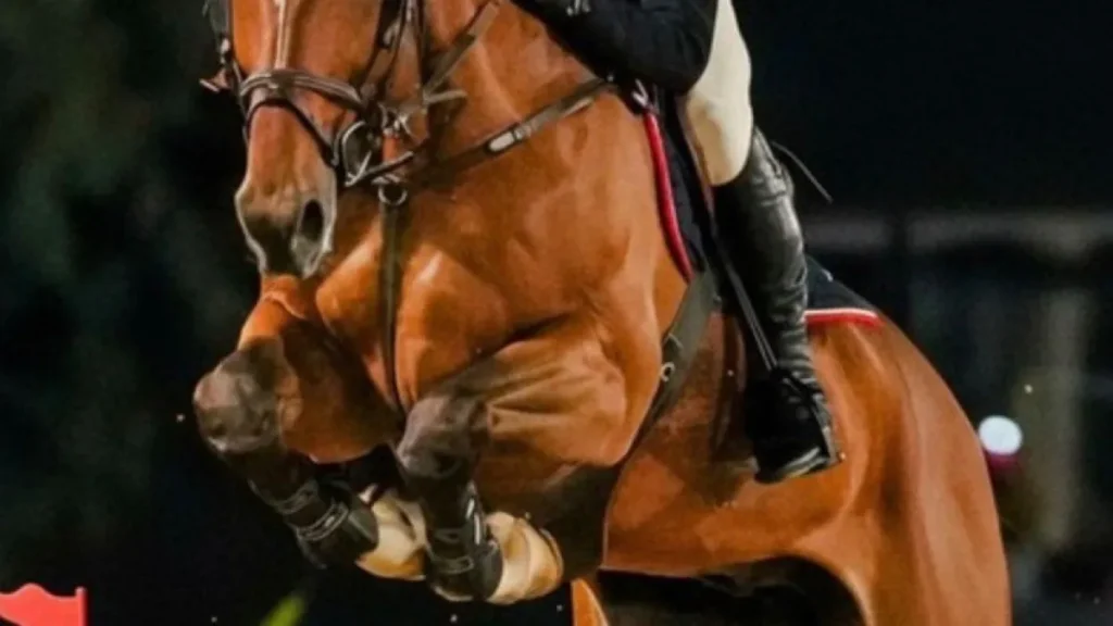 Candangão 2026: hipismo brasiliense se prepara para o campeonato