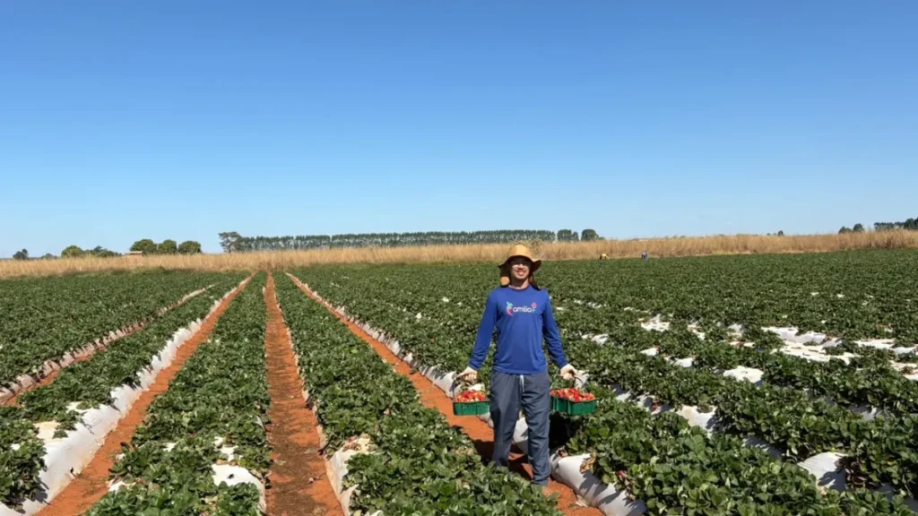Agricultura familiar move R$ 1 bi no DF em 2024
